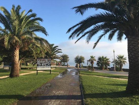 Appartement Avec Piscine Argelès-sur-Mer Zewnętrze zdjęcie